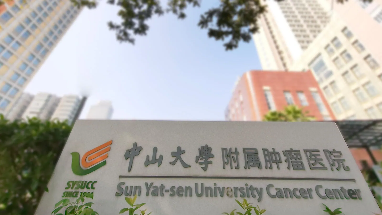 中山大学肿瘤防治中心院区展示图